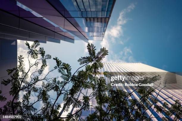 looking up at two skyscrapers towering over the city - perth street stock pictures, royalty-free photos & images