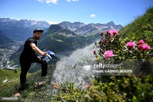 French Land artist Guillaume Legros aka "Saype" works on his new giant land art fresco entitled: "La Grande Dame" in Courmayeur, next to the Mont...