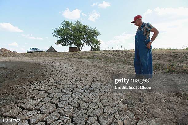 Marion Kujawa looks over a pond he uses to water the cattle on his farm on July 16, 2012 in Ashley, Illinois. Kujawa has been digging the pond deeper...