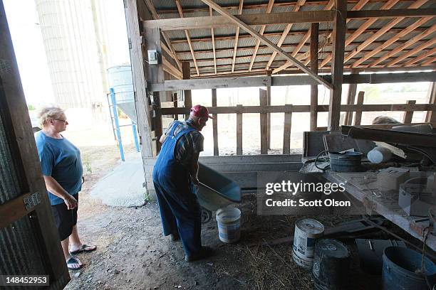 Marion and Dianne Kujawa feed corn to their cattle on July 16, 2012 near Ashley, Illinois. Many farmers in the Midwest have been selling off their...