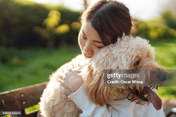 portrait of female pet owner embracing her dog in nature - emotional support animal stock pictures, royalty-free photos & images