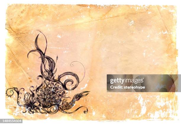 phoenix on parchment - phoenix stock illustrations