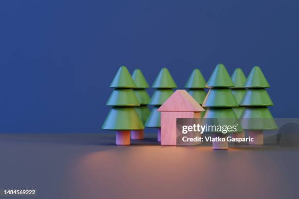 Rustical Meaning 34 Rustical Wood Stock Photos, High-Res Pictures, and Images - Getty Images
