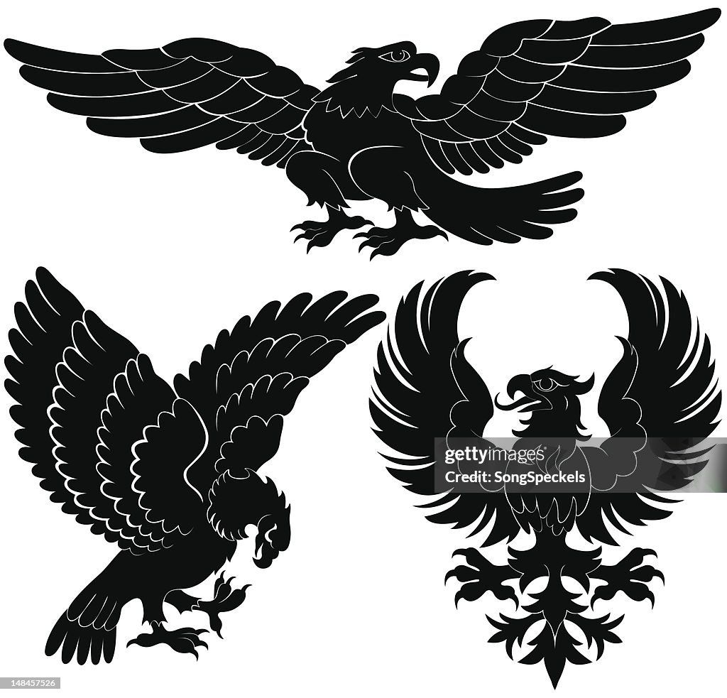De aves de rapiña Heraldry diseños