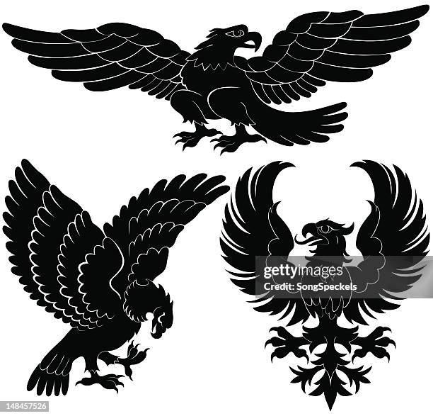664点のfalcon Birdイラスト素材 Getty Images 664点のfalcon Birdイラスト素材 Getty Images