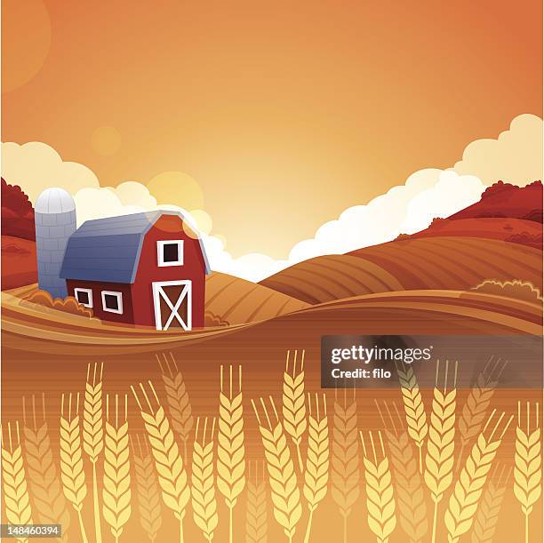 ilustraciones, imágenes clip art, dibujos animados e iconos de stock de granja cosecha de otoño - cultivo maiz