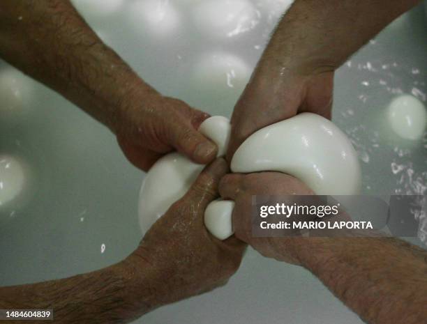 Employe prepare buffalo mozzarella in a small company of the Italian city of Mondragone, about 50 km northwest of Naples on March 26, 2008. South...