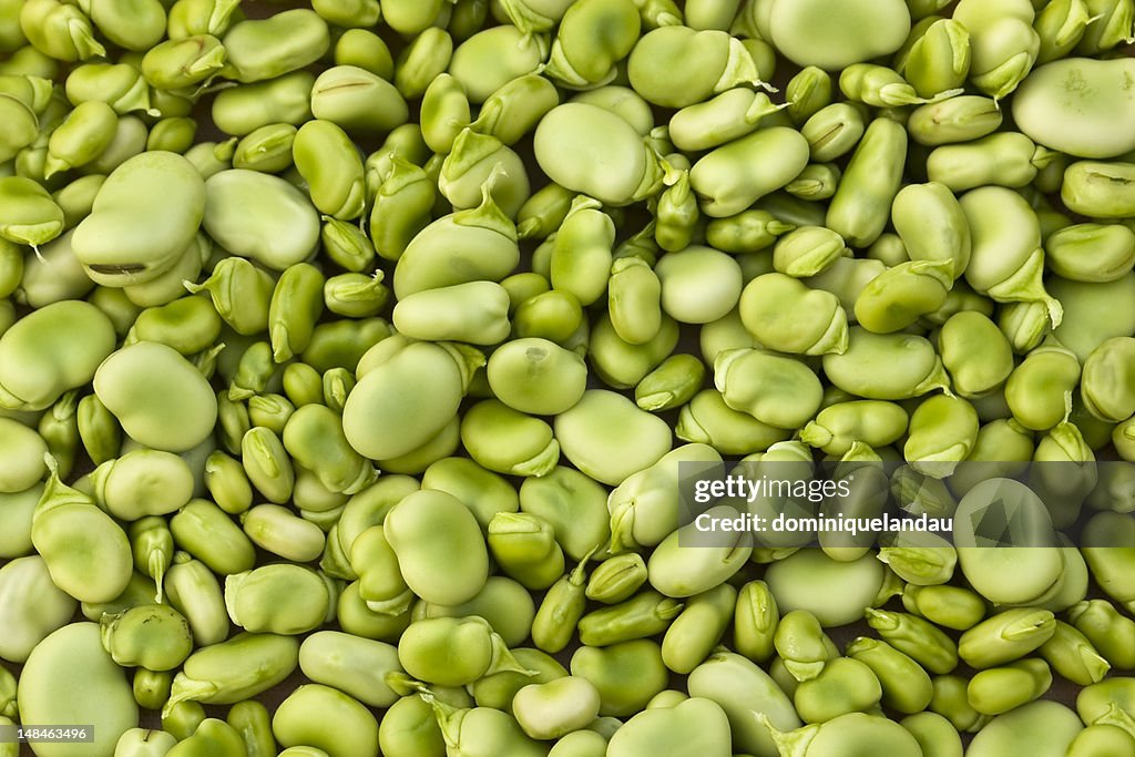 Lima beans background
