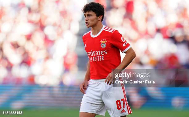 Joao Neves of SL Benfica during the Liga Portugal Bwin match between SL Benfica and GD Estoril Praia at Estadio da Luz on April 23, 2023 in Lisbon,...