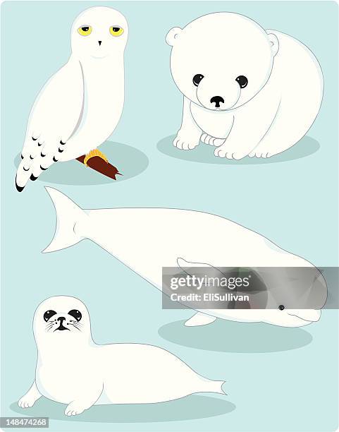 illustrations, cliparts, dessins animés et icônes de collection of arctic animaux - hémisphère nord