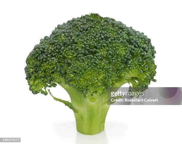 fresh floret of organic broccoli - brocoli 個照片及圖片檔