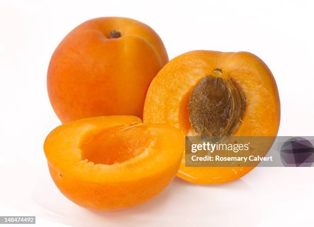 two apricots with one cut in half to reveal stone - aprikos bildbanksfoton och bilder