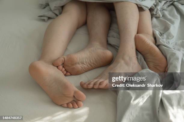 male and female feet in bed under blankets - beischlaf stock-fotos und bilder