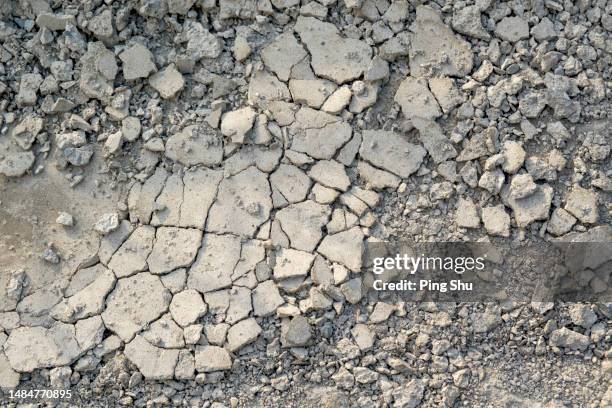 cracked ground - mud floor stock pictures, royalty-free photos & images