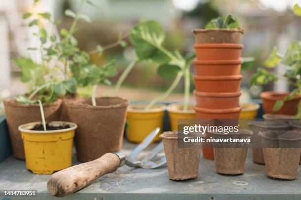 close-up of flower pots, seedlings and a gardening fork on a garden table - plant pot stock pictures, royalty-free photos & images