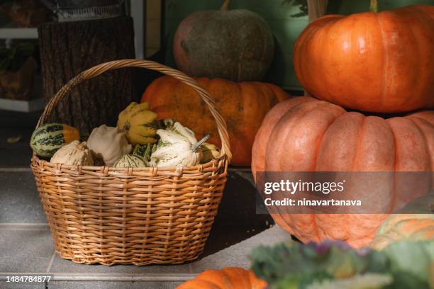 basket filled with assorted pattypan squash next to pumpkins on a the porch of a house - pattypan squash imagens e fotografias de stock