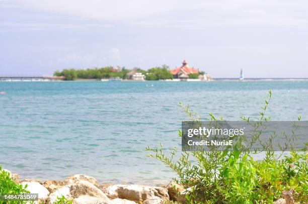 tropical landscape and rocky beach, jamaica - jamaica beach stock pictures, royalty-free photos & images