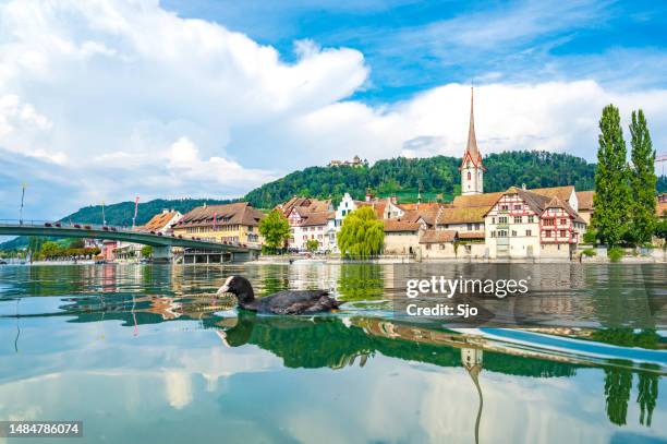 Rhein Ripp 3,883 Rhein River Stock Photos, High-Res Pictures, and Images - Getty ...