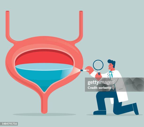 bladder - magnifying glass - doctor - bladder stock illustrations