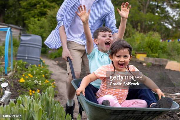 playing at the allotment - nephew stock pictures, royalty-free photos & images