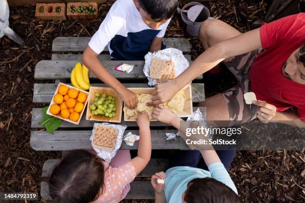 sharing a picnic - family eating potato chips stock pictures, royalty-free photos & images