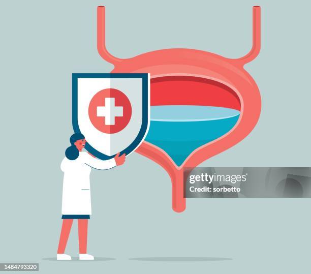 stockillustraties, clipart, cartoons en iconen met bladder protection - female doctor - nierbekkenontsteking