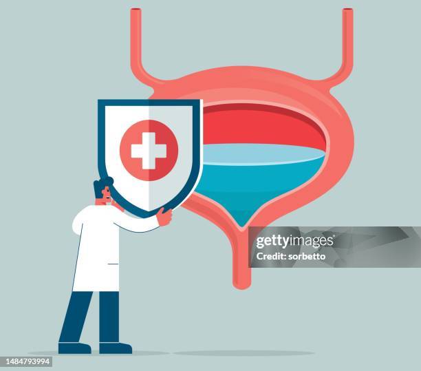 bladder protection - doctor - urologist stock illustrations
