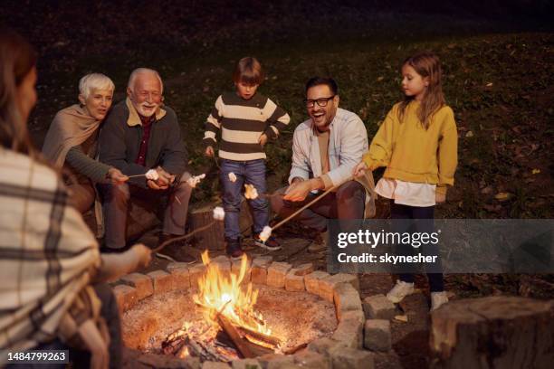 roasting marshmallows on fire! - boy warming up stock pictures, royalty-free photos & images