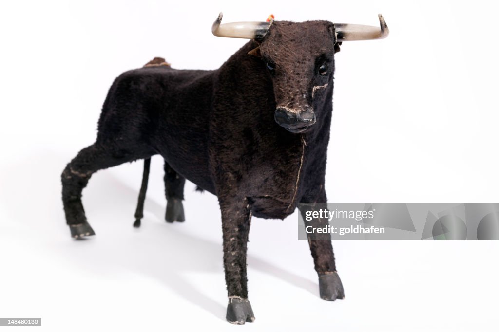 Spanish Bull