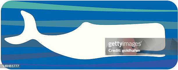 moby dick - whale watching stock illustrations