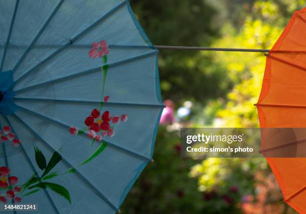 chinese traditional flower umbrellas displayed in the park - product launch in beijing stock pictures, royalty-free photos & images
