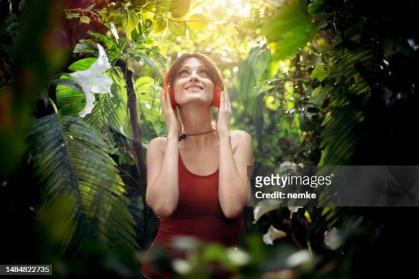 sounds of tropical jungle - summer sounds stock pictures, royalty-free photos & images