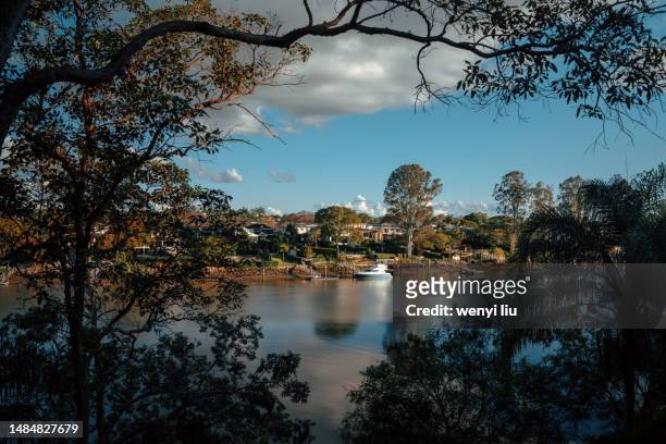 a tranquil afternoon view of riverbank in west suburb of brisbane - brisbane transport stock pictures, royalty-free photos & images