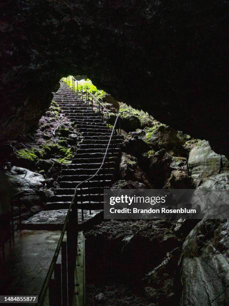 gruta das torres lava cave in pico, azores - pico azores imagens e fotografias de stock