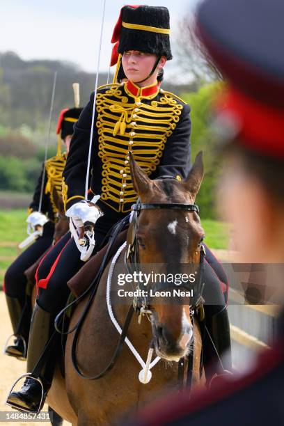Troop Riding 2,773 Kings Troop Royal Artillery Stock Photos, High-Res Pictures, and ...
