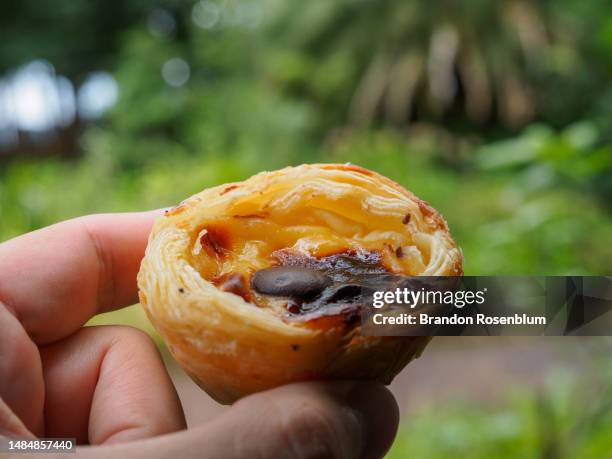 pastel de nata in ponta delgada, azores - pastel de nata stock pictures, royalty-free photos & images