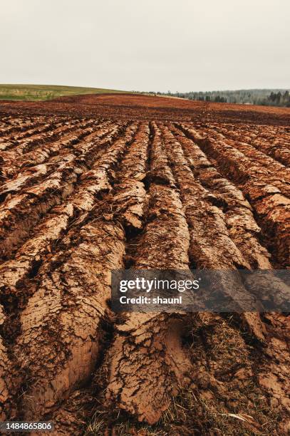 plowed field - plowing stock pictures, royalty-free photos & images
