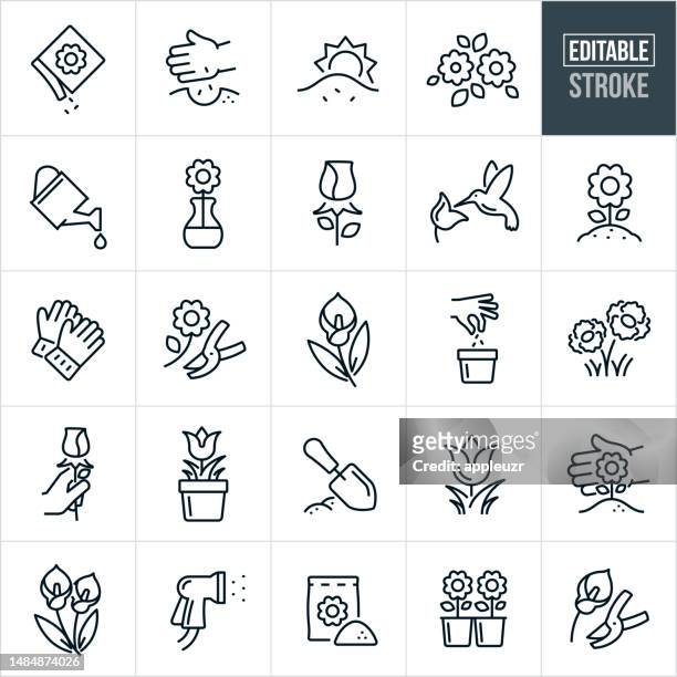 flowers and floral thin line icons - editable stroke - flowerbed stock illustrations