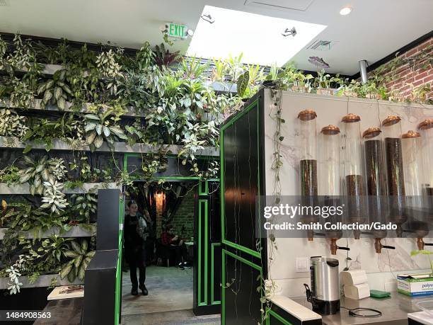 Interior of Tellus Coffee shop with green plants, glass barware, and modern interior design elements, North Main Street, Walnut Creek, California,...