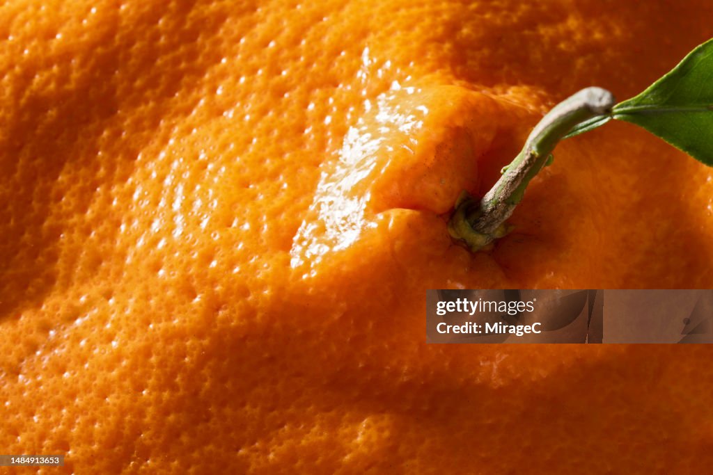 Orange Colored Tangerine Peel Close up View