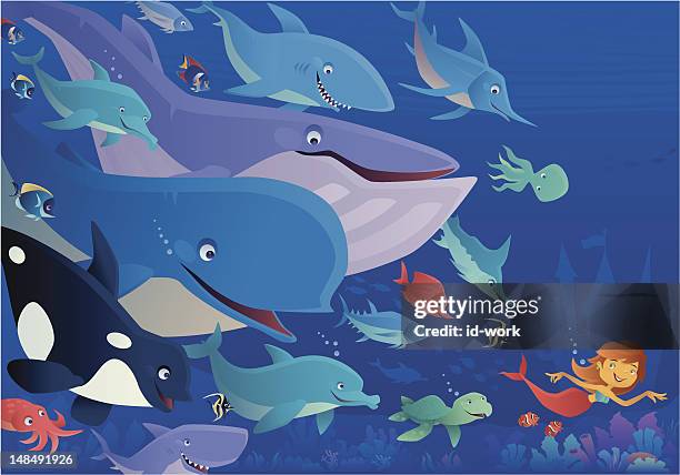 illustrazioni stock, clip art, cartoni animati e icone di tendenza di sirena e amici - marlin