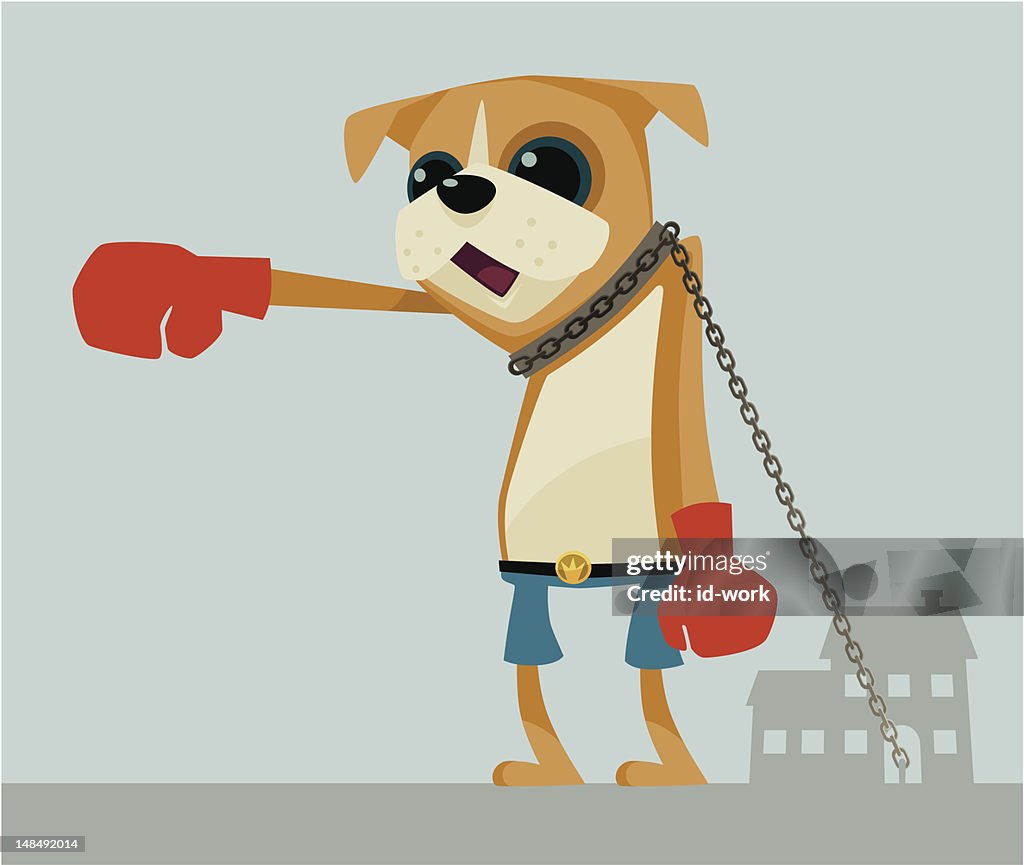 Boxer