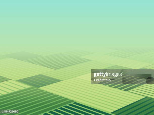 bildbanksillustrationer, clip art samt tecknat material och ikoner med agriculture farm fields aerial view background pattern - ovanpå