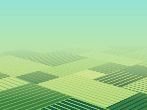 agriculture farm fields aerial view background pattern - spring background top view stock illustrations