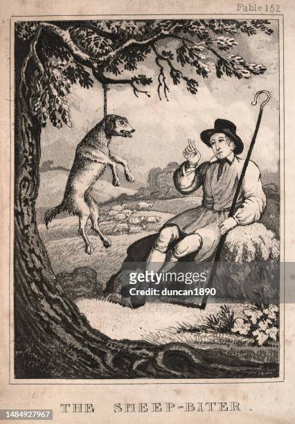 the sheep-biter, aesop's fables, or the aesopica, moral, all criminals must be punished for crimes - noose stock illustrations