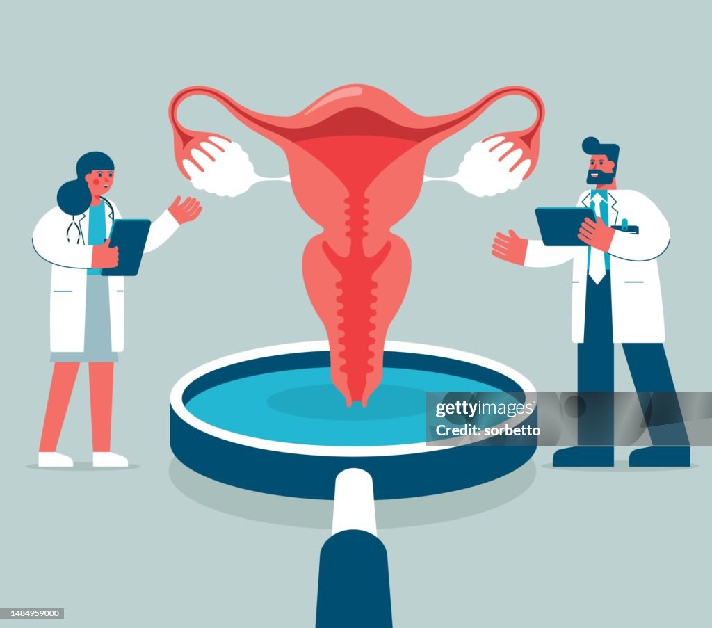Woman's reproductive organ - check-up