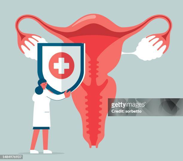 human uterus protection - female doctor - myometrium stock illustrations