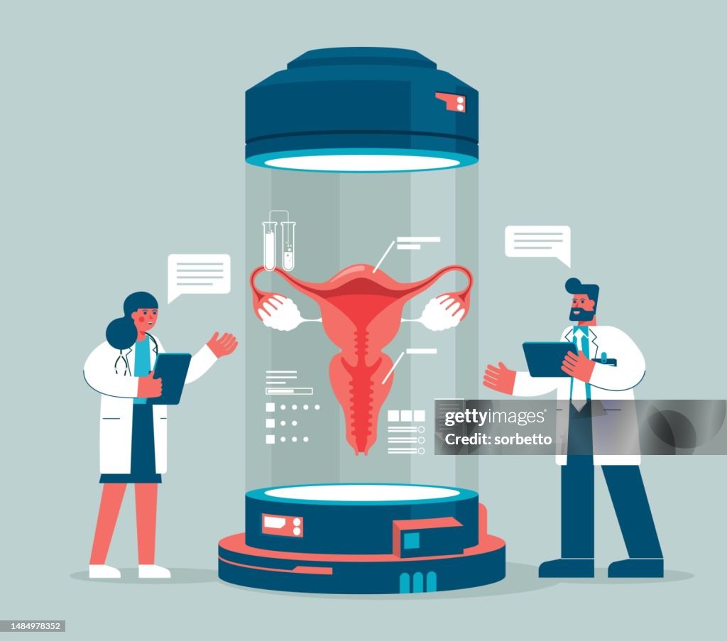 Human uterus - Analyzing