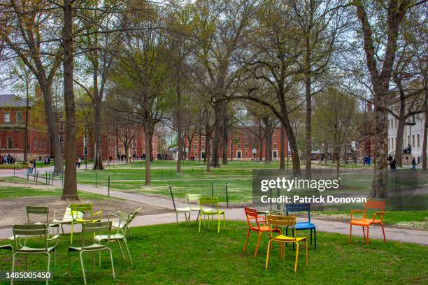 harvard yard, harvard university, cambridge, massachusetts - ivy league university stock pictures, royalty-free photos & images