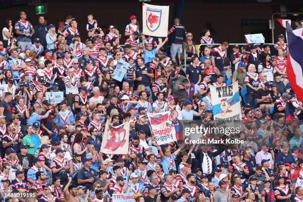 Roosters fans celebrate after a try during the round eight NRL match between Sydney Roosters and St George Illawarra Dragons at Allianz Stadium on...